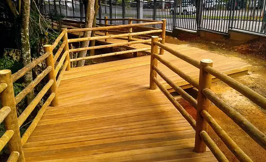 Deck de Pinus Tratado