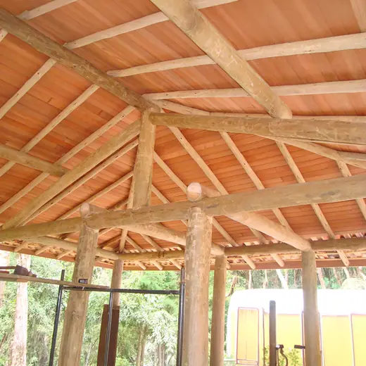 Eucalipto Tratado para Telhado